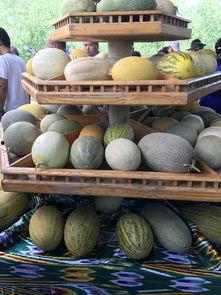 网曝吃瓜新疆,揭秘当地美食与风土人情