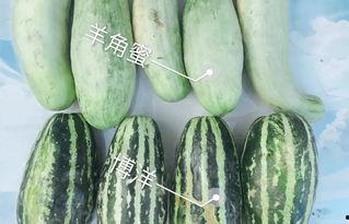 网红吃瓜视频大全,揭秘娱乐圈幕后故事